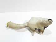 Behälter Scheibenwaschanlage Chrysler 300 C Touring (LX, LE)