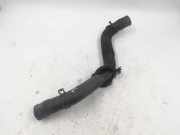 Schlauch Kühlung RENAULT SCÉNIC I (JA0/1_) 1.9 dTi (JA0N)