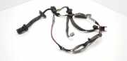 Türverkabelung hinten links VOLVO V70 II (SW) 2.4 D D8697916002