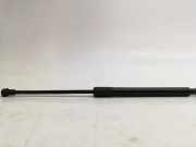 Gasfeder für Motorhaube BMW 3er (E90)