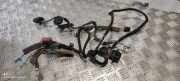 Kabel Tür Volvo S60 II (134) D31275441