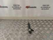 Düsenstöcke Opel Insignia A Sports Tourer (G09) 55570012