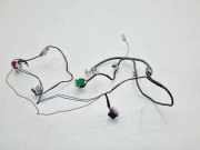 Kabelbaum TOYOTA RAV 4 III (_A3_) 2.2 D 4WD (ALA30_) 2464900290