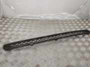 Gitter vorne unten TOYOTA RAV 4 III (_A3_) 2.2 D 4WD (ALA30_) 5311242040