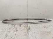 Dachreling links BMW X1 (E84) 0207400