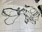 Kabelbaum CITROËN BERLINGO (MF) 1.9 D (MFDJY) 20630339 9C14A7XB