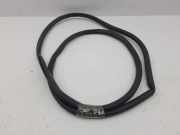 Türdichtung Lexus IS 3 (E3)