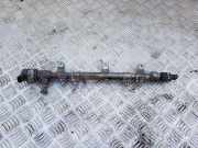 Einspritzleiste Hyundai iX35 (LM) 314002F000