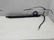 Heckklappe Gasdruckfeder links TOYOTA RAV 4 V (XA50) FWD LE 2.5 6892042020