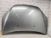 Motorhaube FORD FOCUS II Turnier (DA_) 1.6