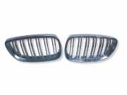 Vorderer oberer Gitter BMW 3 Coupe (E92) 320 i