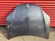 Motorhaube RENAULT LAGUNA III Grandtour (KT0/1) 2.0 dCi (KT01, KT08, KT0K, KT0J, KT1A, KT1D)