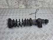 Stoßdämpfer hinten links BMW 6 Coupe (F13) M6 37126850963
