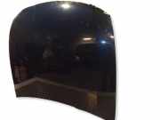 Motorhaube LEXUS GS III (GRS19_, UZS19_, URS19_) 300 (GRS195_, GRS190_)