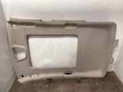 Dachverkleidung JEEP GRAND CHEROKEE IV (WK, WK2) 3.0 CRD V6 4x4 1hg03hdaah