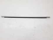 Vertikale Verkleidung an der hinteren linken Tür FORD C-MAX II (DXA/CB7, DXA/CEU) 2.0 TDCi AM51R25604