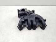 Ansaugkrümmer Audi A4 (8E, B7) 038129713BM