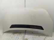 Motorhaube VW Crafter 30-50 Kasten (2E)