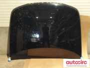 Motorhaube Land Rover Range Rover Sport (L320) BKA790050