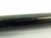 Heckklappe Gasdruckfeder rechts FIAT 500 C (312_) 1.6 D Multijet 229038006