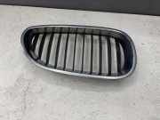 Vorderer oberer Gitter BMW 5 Touring (E61) 520 d