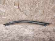 Zierleiste Windschutzscheibe Frontscheibe PEUGEOT 607 (9D, 9U) 2.7 HDi 24V 300537