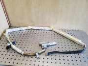 Dach SRS rechts BMW X5 (E53) 3.0 d 30317952R 30317948