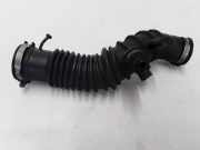 Schlauch für Luftversorgung Renault Grand Scenic II (JM) 165750001R