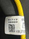 SONSTIGE KABELBÄUME KIA PICANTO III (JA) 1.2 91712G6000