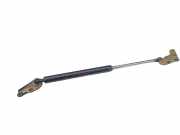 Heckklappe Gasdruckfeder links TOYOTA AVENSIS VERSO (_M2_) 2.0 D (CLM20_) 6896044080