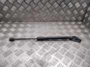 Heckklappe Gasdruckfeder rechts NISSAN LEAF (ZE0) Electric 904503na0a