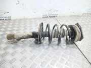 Stoßdämpfer vorne rechts RENAULT MEGANE II Estate (KM0/1_) 1.9 dCi