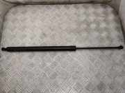 Heckklappe Gasdruckfeder links TOYOTA PROACE Minibus / passenger (MPY_) 1.5 D4d (MDZ1) 9813193480