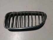 Vorderer oberer Gitter BMW 6 Gran Coupe (F06) 640 d 51137212849