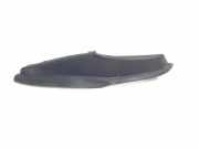 Zierleiste Windschutzscheibe Frontscheibe RENAULT LAGUNA III (BT0/1) 2.0 dCi (BT0M, BT0N, BT19) 668630005R