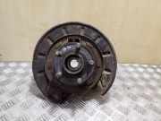 Radnabe hinten Land Rover Freelander 2 (L359)