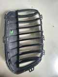Gitter BMW X1 (F48) sDrive 18 i 7383363