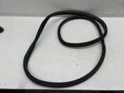 Dichtungsgummi der hinteren Tür (an der Karosserie) BMW X1 (F48) sDrive 18 d