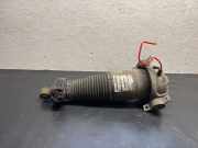 pneumatischer Stoßdämpfer hinten links AUDI Q7 (4M) 2020 SQ7 TDI Quattro 7L8616019