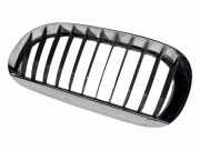 Vorderer oberer Gitter BMW X5 (E53) 3.0 i 7077935