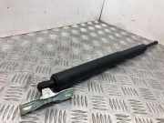 Heckklappe Gasdruckfeder links BMW 5 (F10) 520 d 0310041270N 7207011
