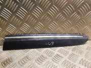 Kotflügelzierleiste hinten links MERCEDES-BENZ CLK (C209) 320 (209.365) 2096902562