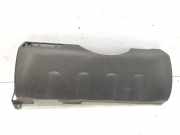 Schwellerleisten Nissan Pathfinder III (R51) 68106EB301