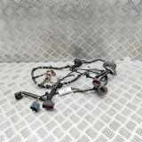 Kabel der vorderen linken Tür