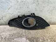 Gitter vorne unten MERCEDES-BENZ A (W176) A 180 CDI / d (176.012) A1768850522