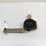 Türlautsprecher hinten links