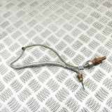 Temperatursensor AUDI A4 (8W2, B9) 35 TFSI Mild Hybrid 8W0919529J