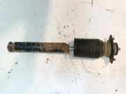 Stoßdämpfer hinten links BMW 3 Cabrio (E46) 318 Ci