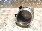 Nebelscheinwerfer rechts vorne BMW X5 (E53)