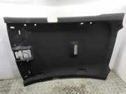 Dachverkleidung VW ARTEON (3H7) 2.0 TDI 4motion